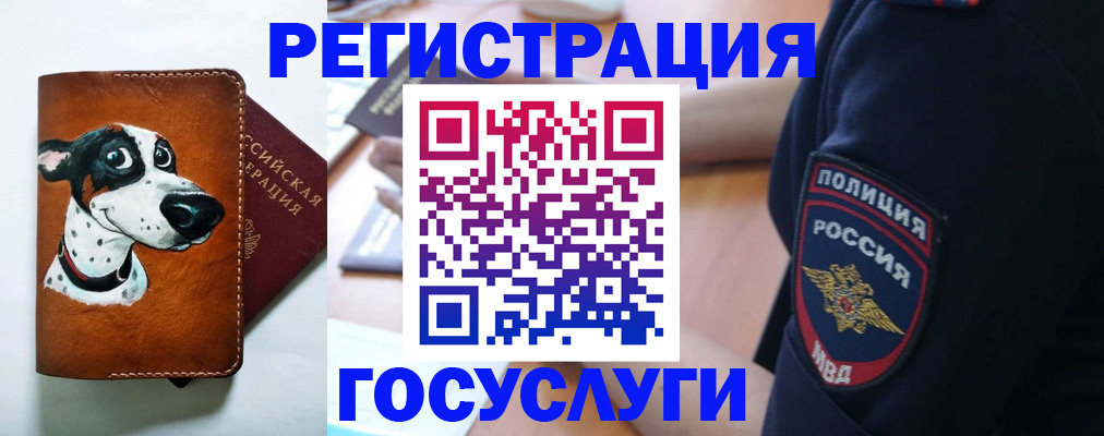 временная регистрация в квартире в Межгорье